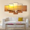 Animal Skull In The Desert - Nature 5 Panel Canvas Art Wall Decor